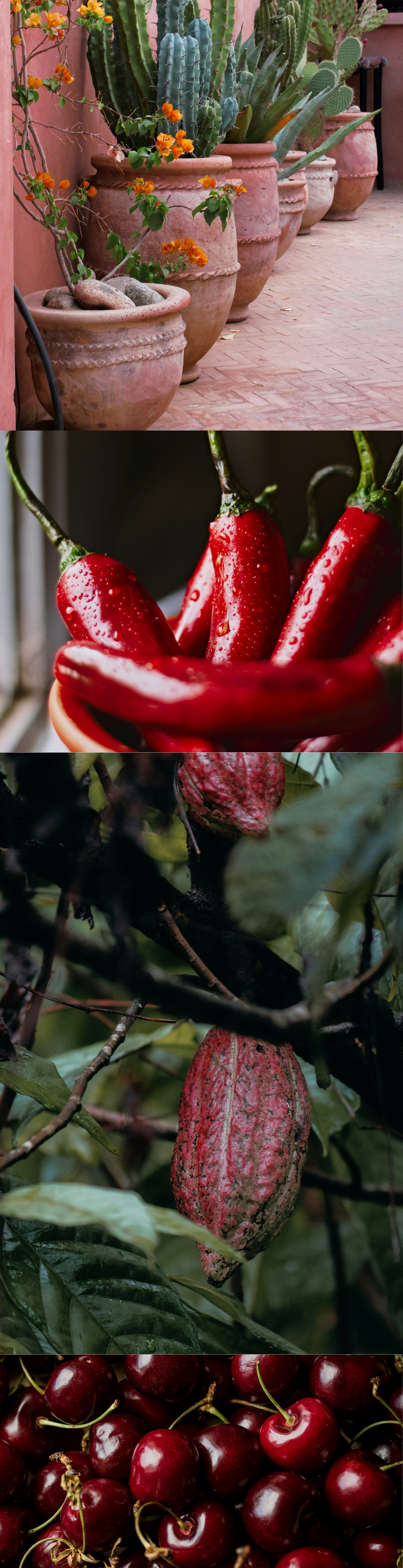 Kirsche Chili Peru-Kakao