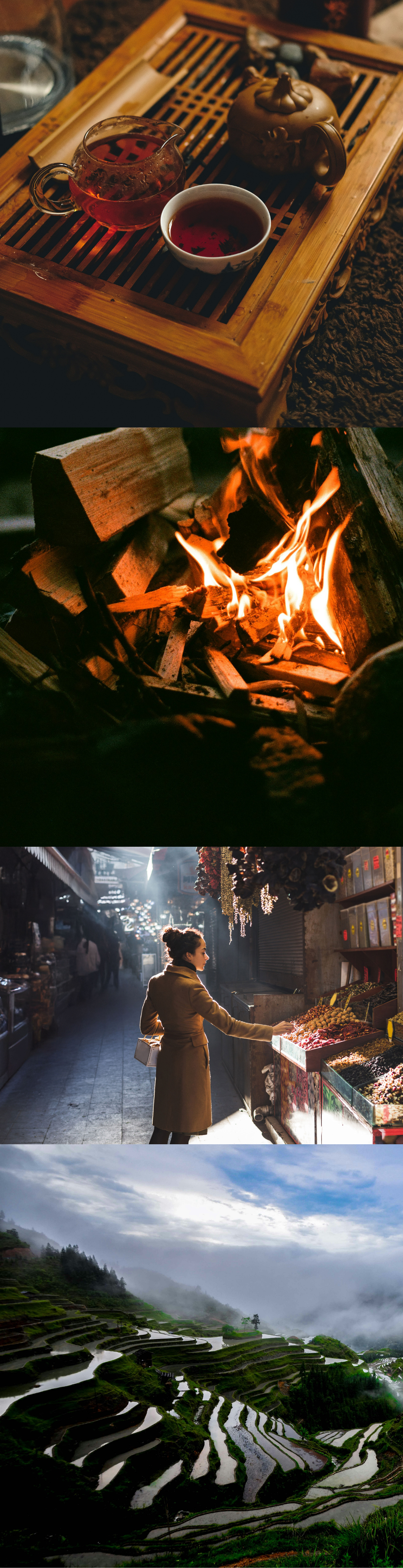 Pu Erh Rote Bete Zimt